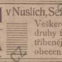 Inzerát Nuselský obzor 01.06.1913 Fanta Nusle 482